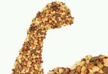 Los frutos secos que más convienen a la salud