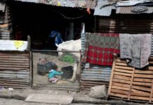 La Municipalidad de La Plata destruyó más de una decena de construcciones ilegales y abandonadas en diversos puntos de la ciudad, logrando recuperar más de 5.000 metros cuadrados de espacio público.